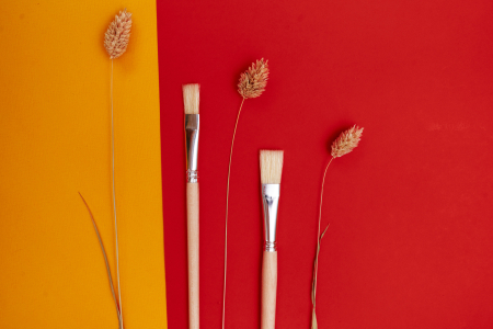 Щетина плоская