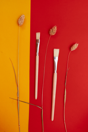 Щетина плоская