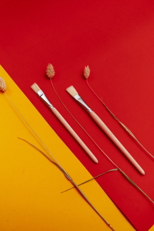 Щетина плоская