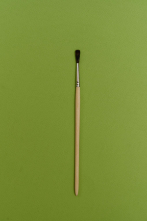 Белка (сосновка) круглая