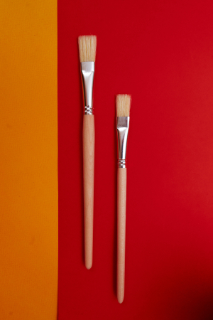 Щетина плоская